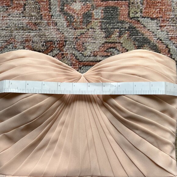 Jenny Yoo Mira Strapless Gown (Blush) - Picture 13 of 14